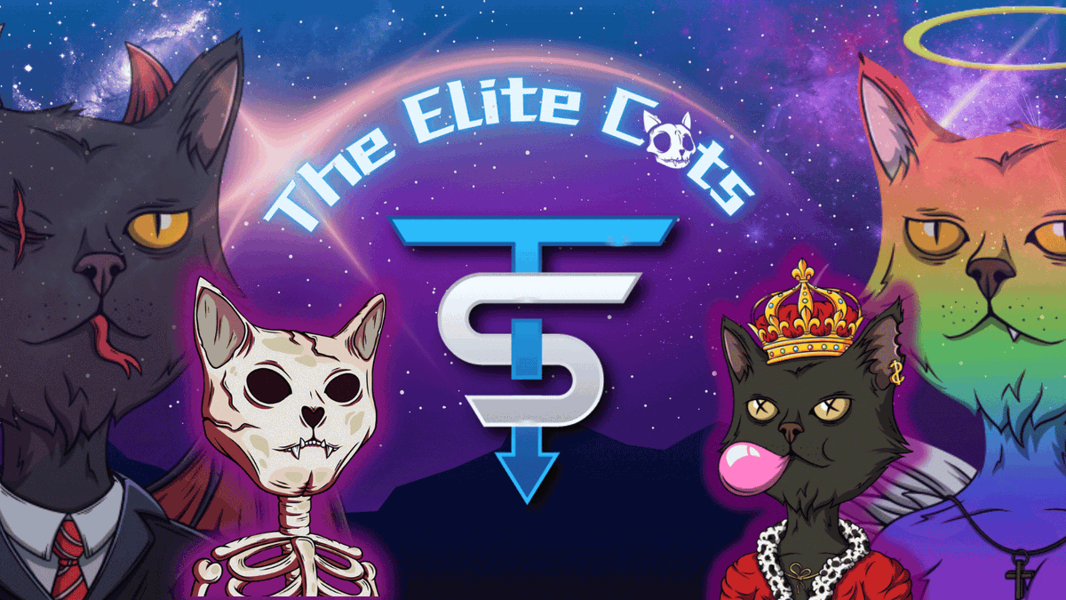 TheEliteCatsNFT's tweet photo. We are thrilled to announce one more partnership !

@TheEliteCatsNFT 🤝 @spacetrooperNFT 

Join our discord for more info (Link in bio)

MEOWWW 😺