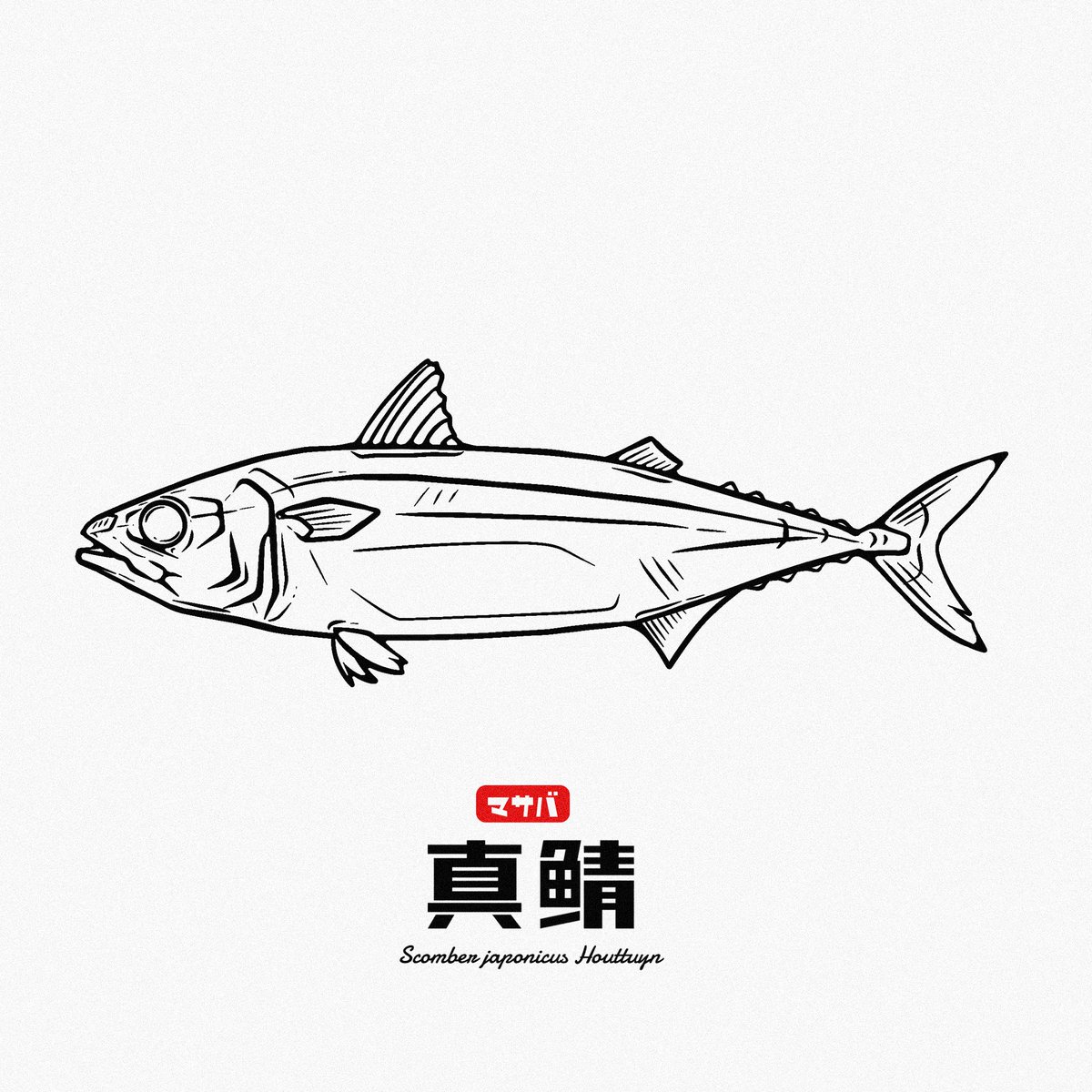 マサバ