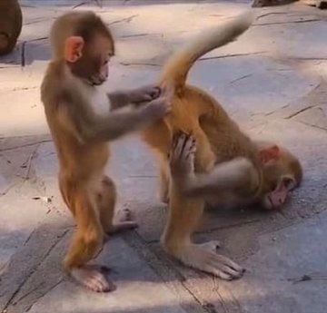Leeroy and Somizi while Mihlali is busy with a substance we cannot mention 😭