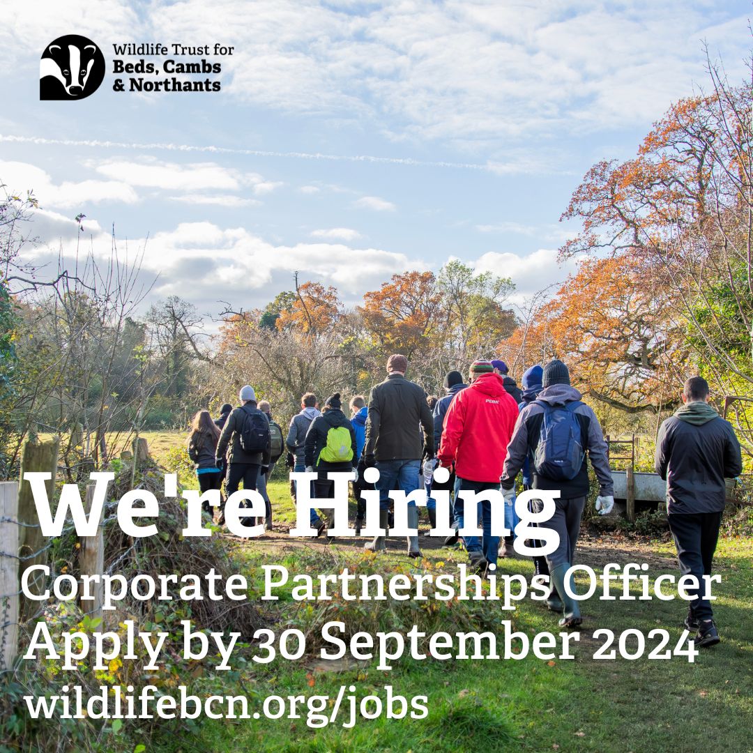 wildlifebcn's tweet photo. 📣Job alert! - Corporate Partnerships Officer 

Support our ambitious plans to expand corporate funding by nurturing &amp; developing relationships with local businesses plus more...

For further info &amp; how to apply head here 👇https://t.co/iOAr8njPnh https://t.co/awuQWJakqC