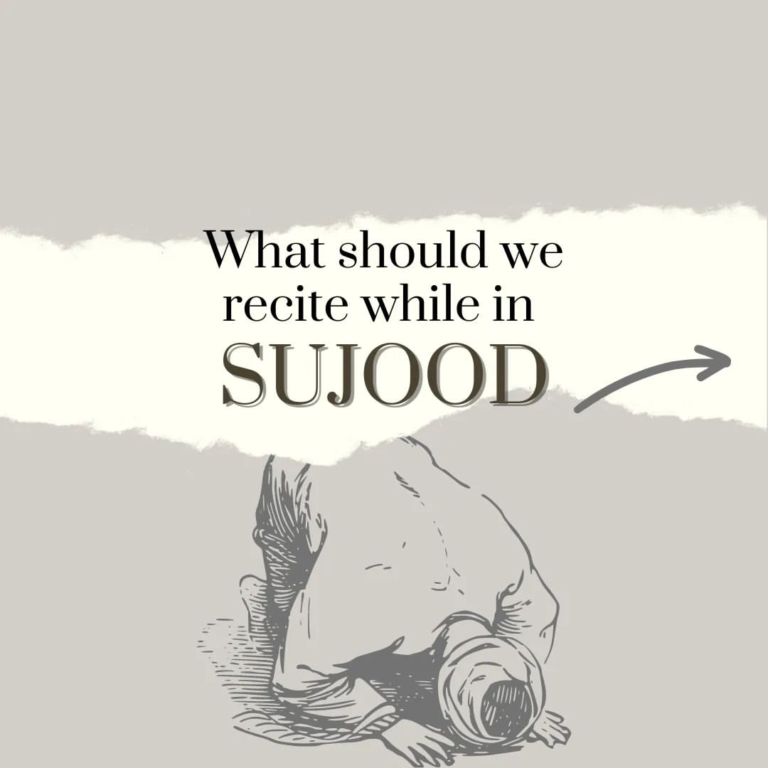 What Should We Recite While in Sujood...

THREAD