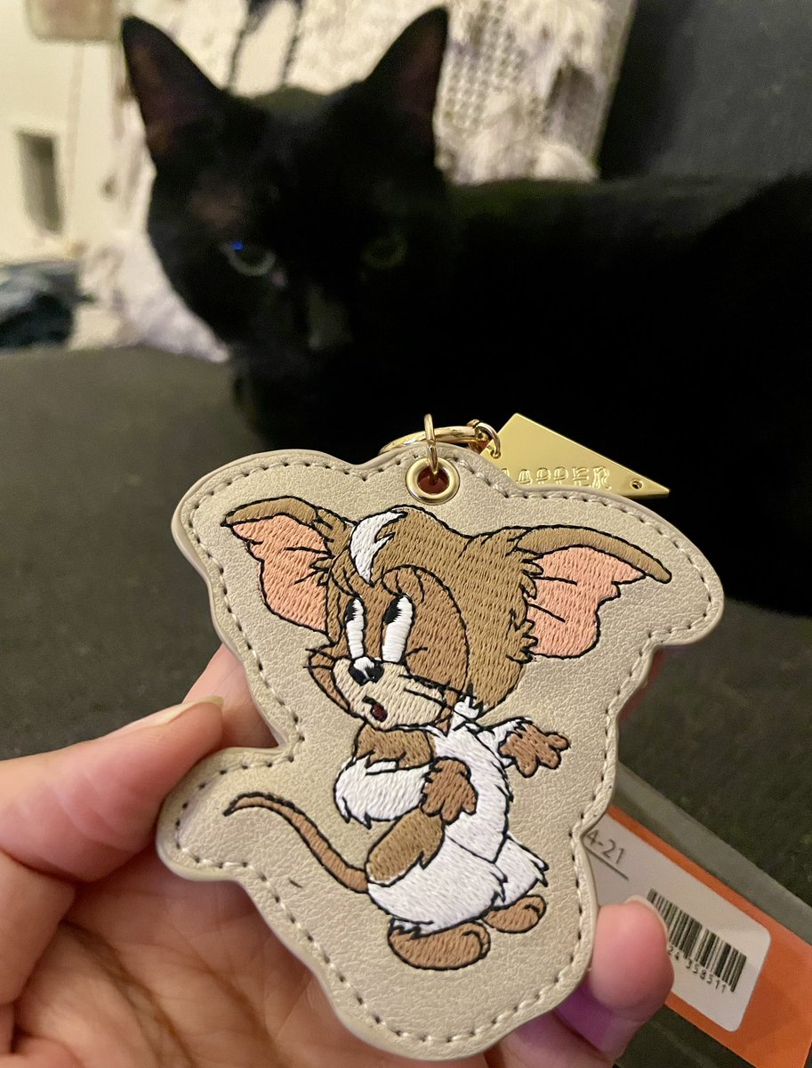 トムジェリ Amazon.co.jp: トムとジェリーをさがせ! まほう! にんぽう! ミラクル