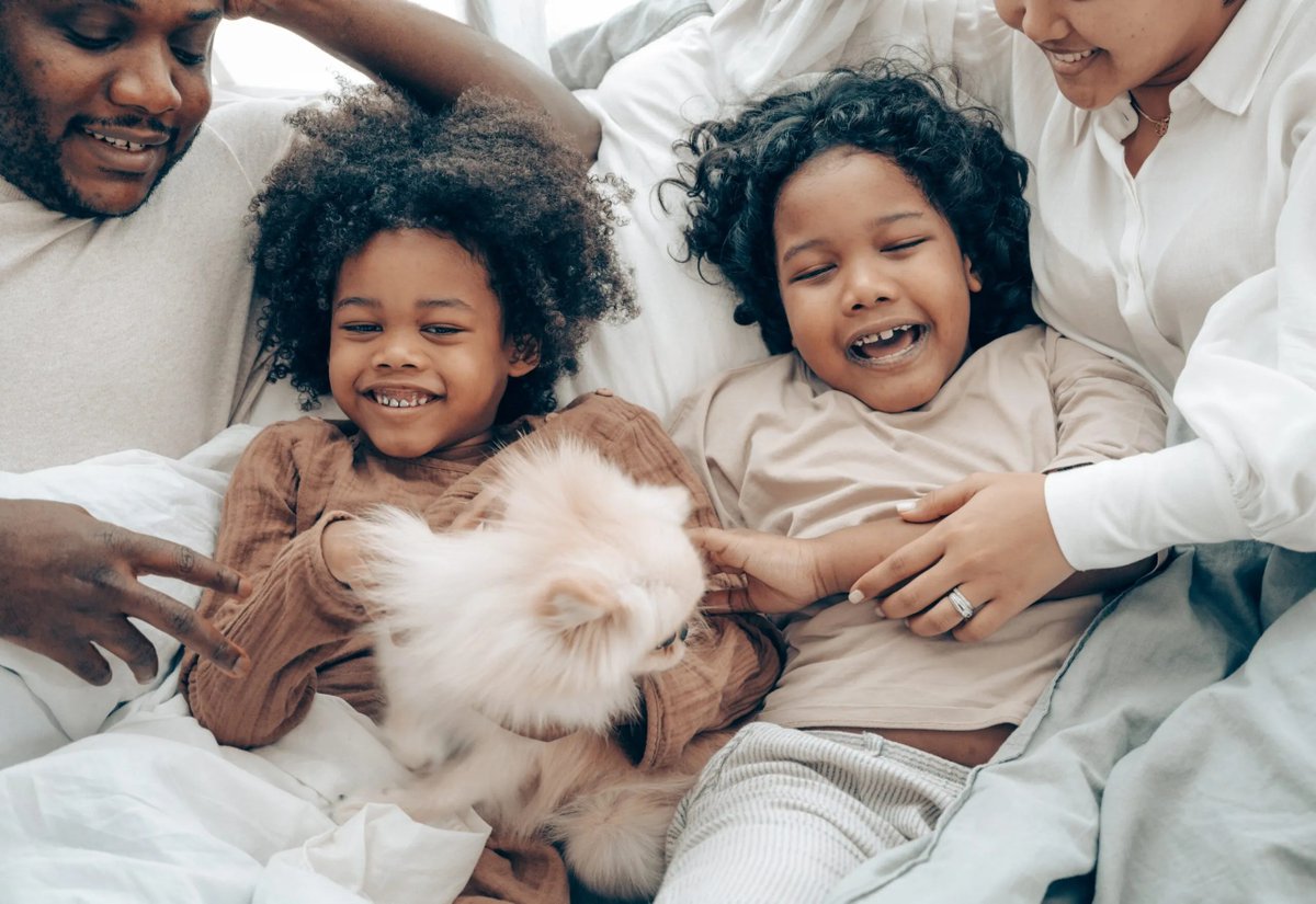 brashandna's tweet photo. Brashan DNA Services Limited: Reliable Uncle and Aunt DNA Testing Services
For more, visit > https://t.co/CfAzrIr7hk
#dnatesting #auntuncleDNAtest #auntdnatest #unclednatestkit #dnapaternitytest #homednatestkit #dnatesting #uk https://t.co/GyCjx0hjhb