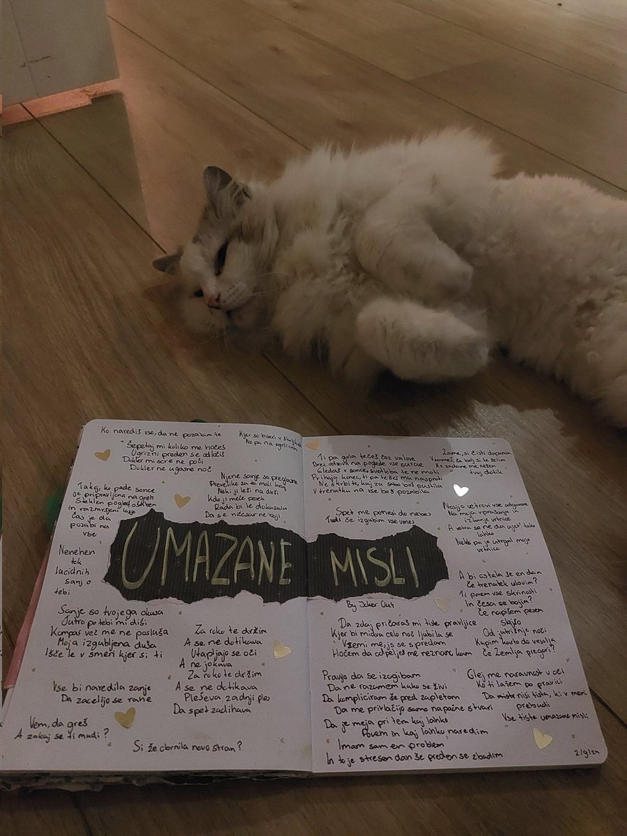 Rooslovesjo's tweet photo. She LOVES Joker Out🙄 https://t.co/AQsQg45VoD