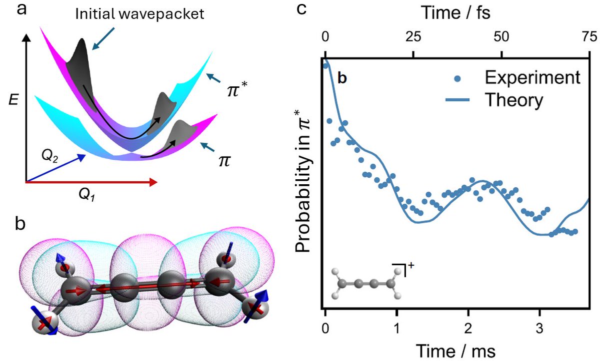 Ivan Kassal tweet media