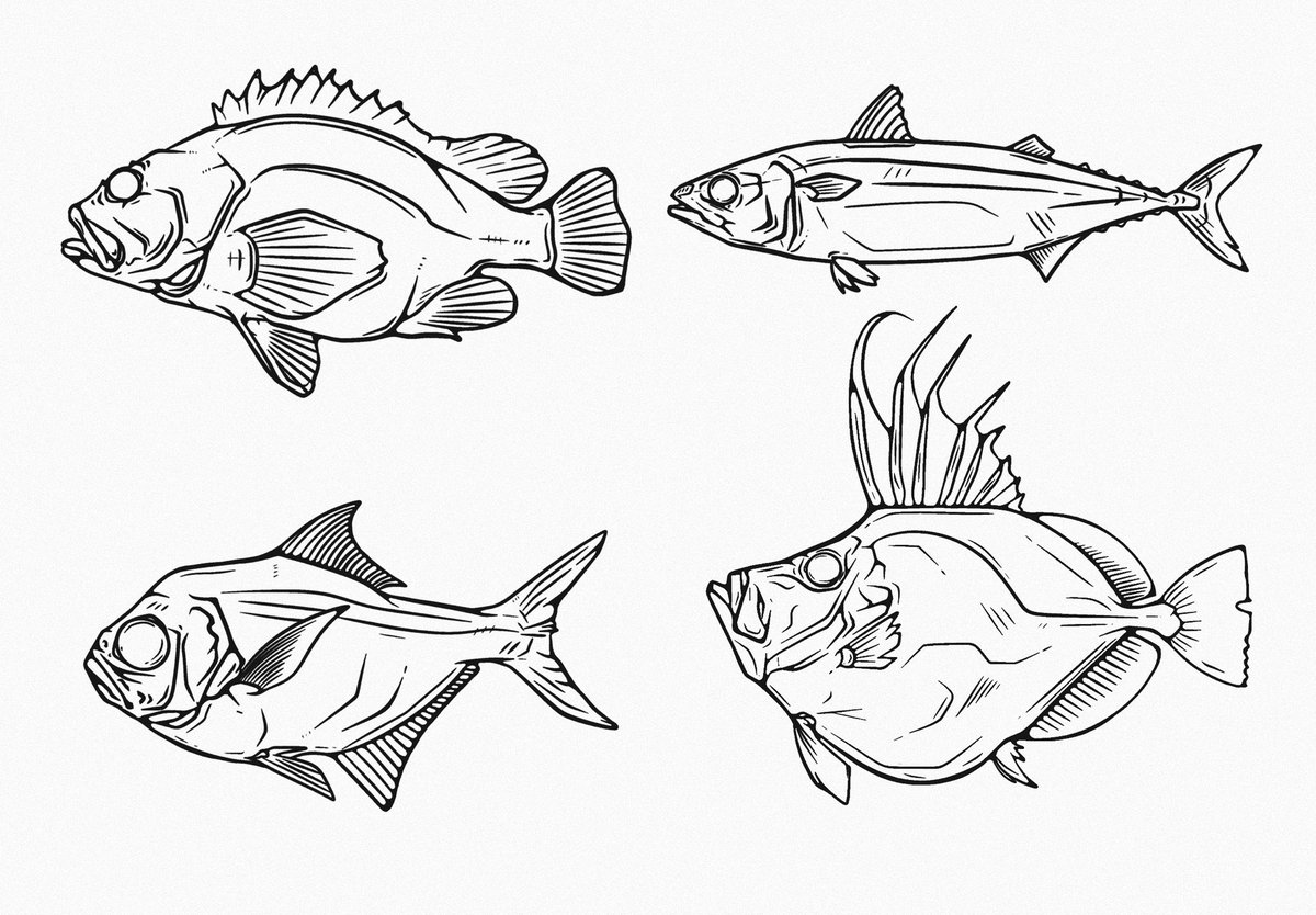 Gamon Marine Products (@gamon_marine) on Twitter photo 