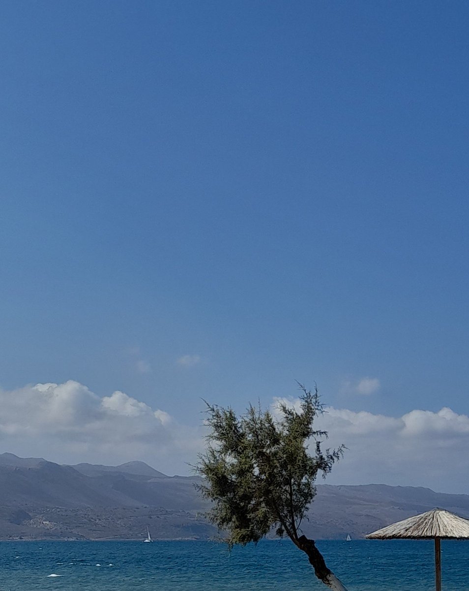 DFantridakij's tweet photo. Χανιά, Σεπτ. 2024 https://t.co/onJ7lFSP81