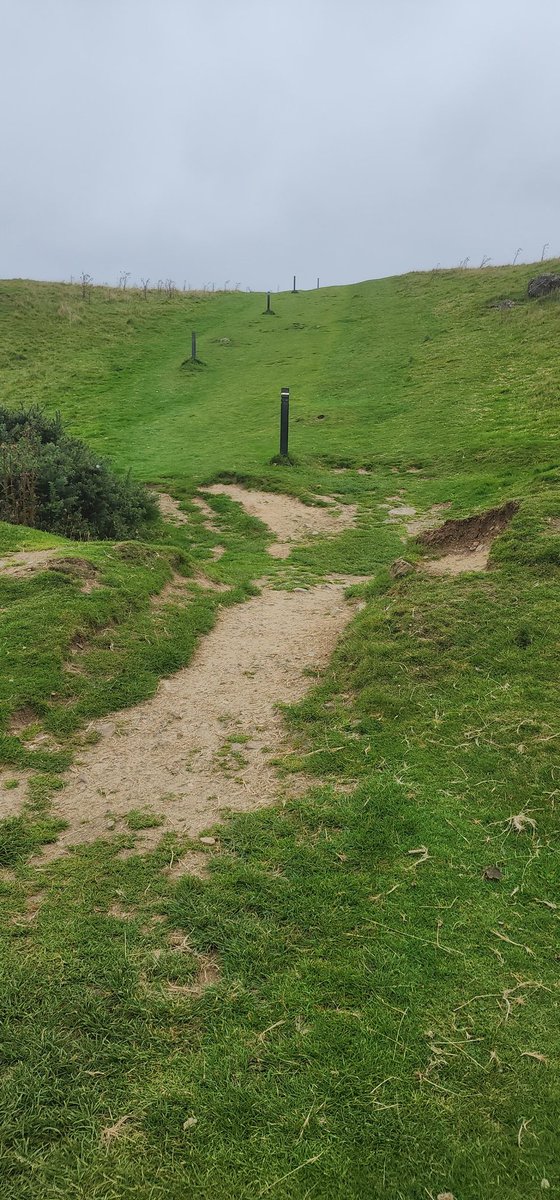 MsV1Bee1's tweet photo. ⛰️IRELAND'S HIGHEST POINTS BY COUNTY⛰️
County Meath
Slieve na Calliagh 276m

Great view, small but fun 🙂 https://t.co/0argo1RV7f