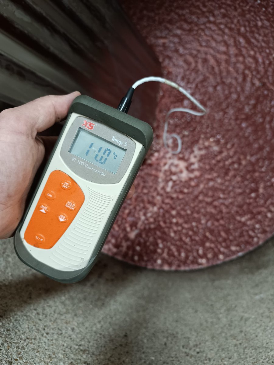 💥Seguimos con novedades en La Zorra Rosada💥
🌸Tras el uso de uno de los nuevos tanques de cemento, nuestro rosado de lágrima ya fermenta. ¡¡¡Y mantenido a 11°C!!!
Esto marcha mejor que bien 👏 👏👏