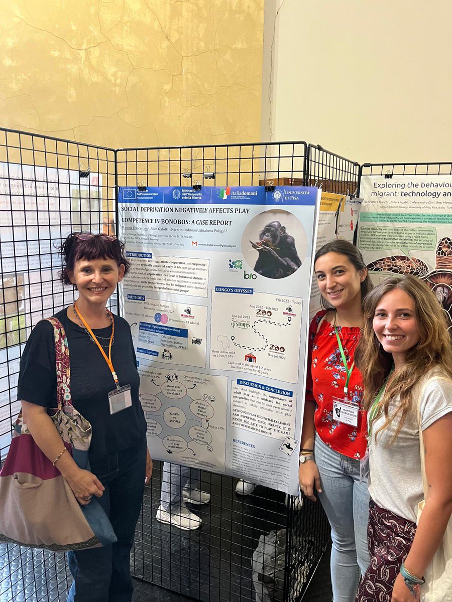 Alice Galotti tweet media