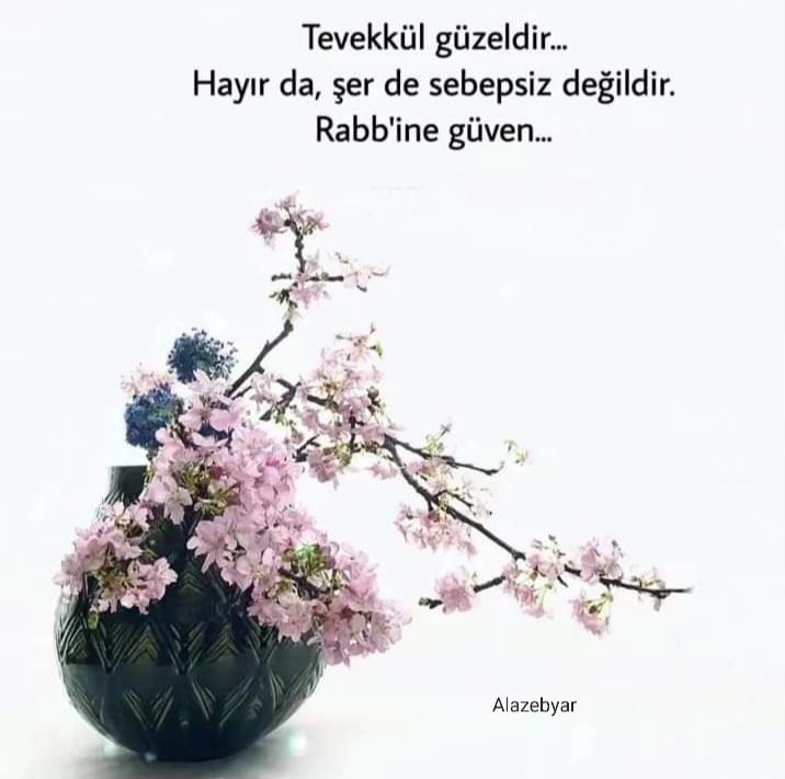 <a href="/NiSRa__NiSRa/">🎸__SİS__🎸</a>
<a href="/NEDjeM_AHTer4i/">☎️__SeS__RT☎️</a>
<a href="/eza_hir/">🫧__EzaHir__RT🫧</a>
ArkadaşLar bu Sayfalar Vefat eden Kardeşimindi bana bırakmış 😔Artık Benim Yedek ve RT olcak
Takip ederseniz Sevinirim
Sevgilerimle