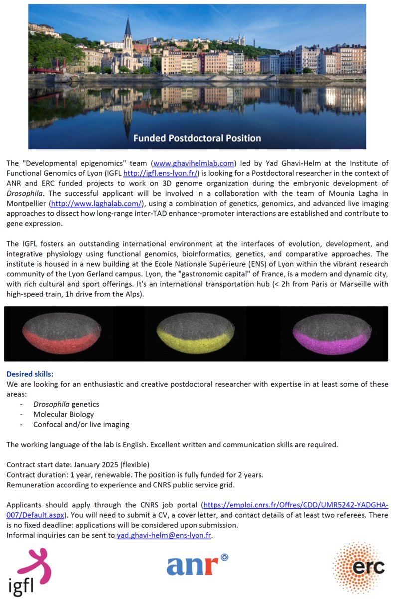 yad_ghavi's tweet image. 📢We are recruiting!!
2 positions are available to join my team @IGFLyon @ENSdeLyon :
- 1 postdoctoral position to work on #3Dgenome organization. 
- 1 technical assistant with expertise in Drosophila genetics and molbiol.
More info here: ghavihelmlab.com/join-us/
Please RT 🙏
#job