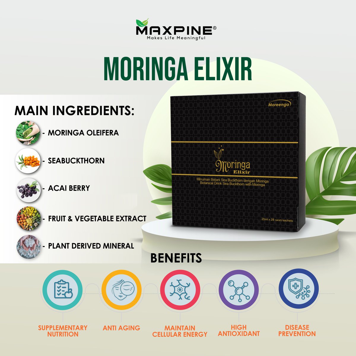 MaxpineMoringa's tweet photo. Moringa Elixir adalah suplemen Moringa berbentuk cecair pertama di Malaysia yang memberikan nutrisi seimbang dan sederhana. Ia membantu membekalkan nutrien dan antioksidan harian yang diperlukan oleh badan kita. https://t.co/3omqJpLSxD