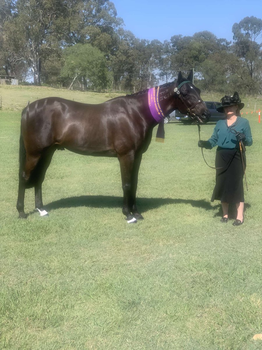 Team Graham Racing tweet media