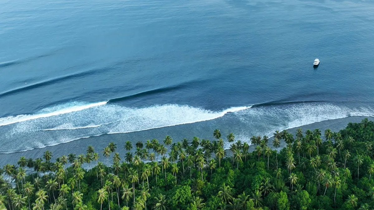De surfari a las Telo dlvr.it/TD0yCC <a href="/surf30/">Surf 30</a>