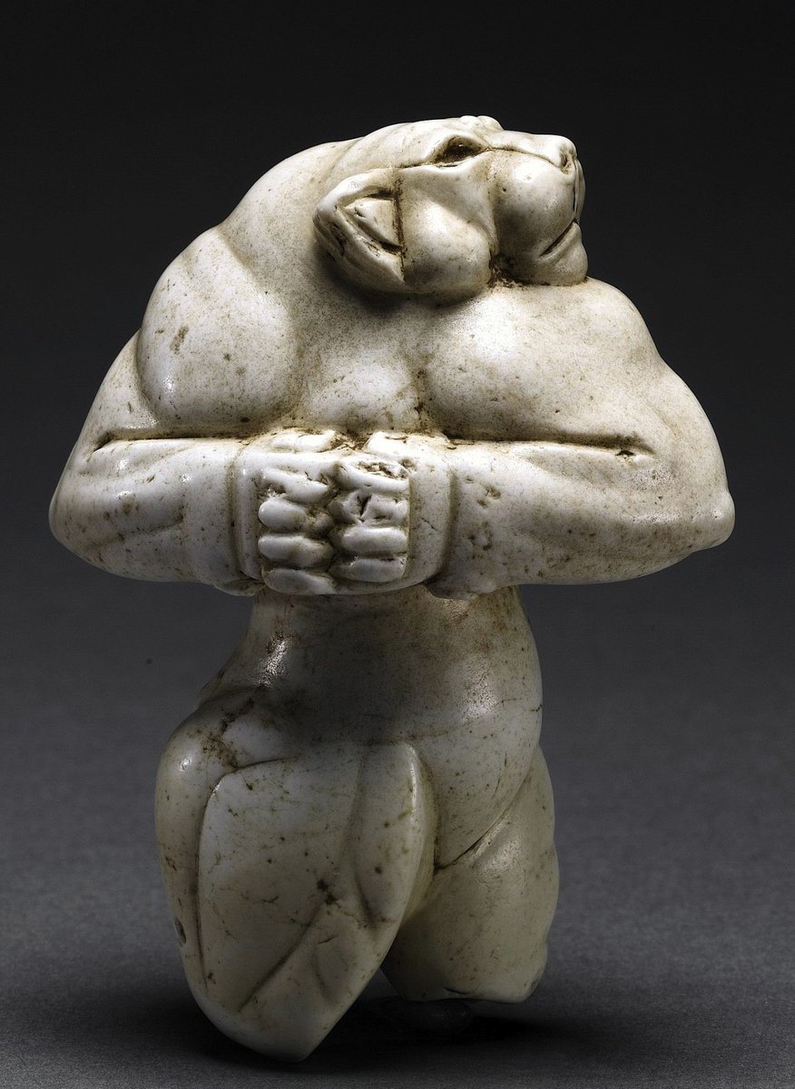 MENA Visuals tweet media