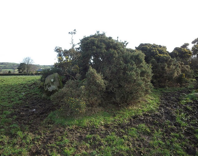Historical Places to Visit - Clonlum North Cairn
🏰HED State Care Monuments are amongst the best-known historic landmarks and tourist destinations in Northern Ireland.
For more information: communities-ni.gov.uk
📍Clonlum Road, Meigh, Armagh, BT35 8LB
#LoveHeritage