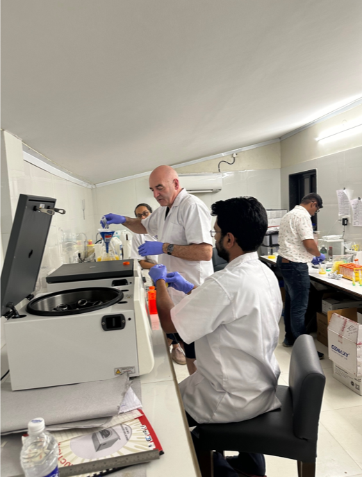 Nature's SAFE tweet media