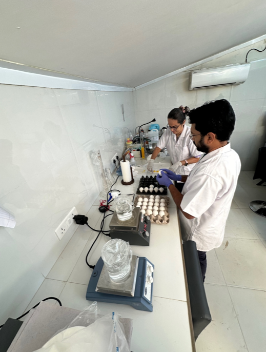 Nature's SAFE tweet media