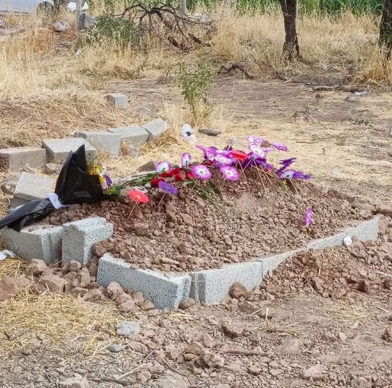 Ah be güzel kızım senin bugün okula gitmen gerekiyordu toprağa değil #Narin