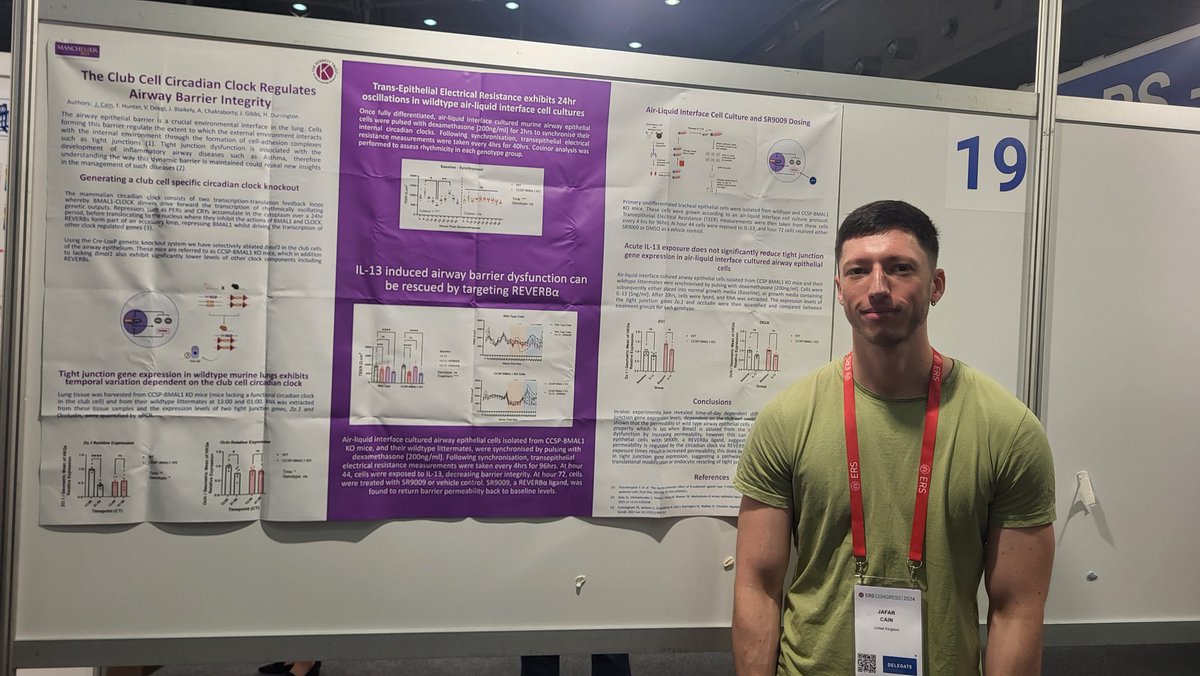 Durrington Lab (@h_durrington) on Twitter photo Lots of interest in this poster at #ERSCongress looking at how the circadian clock controls airway epithelial barrier function. Great work <a href="/JafarCain/">Jafar Cain</a> Lots of interest in this poster at #ERSCongress looking at how the circadian clock controls airway epithelial barrier function. Great work <a href="/JafarCain/">Jafar Cain</a>