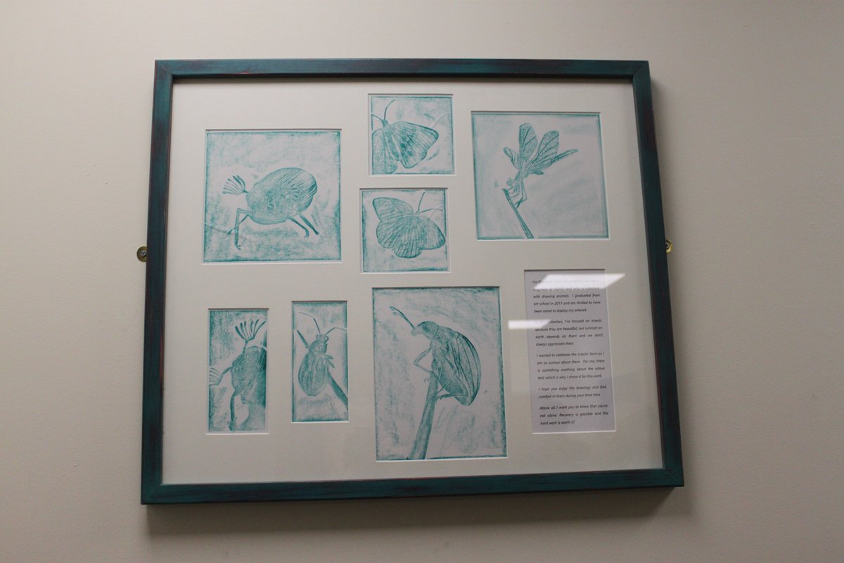 A staff member and ADHD service user has used her love of art to improve the welcome at Norwich’s ADHD adult service.

NSFT Peer Support Worker Elizabeth has focused her artwork on insects, drawing parallels with people who live with ADHD.

Read more here ow.ly/mo6350Tj31O