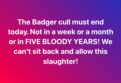 Protect the Wild tweet media