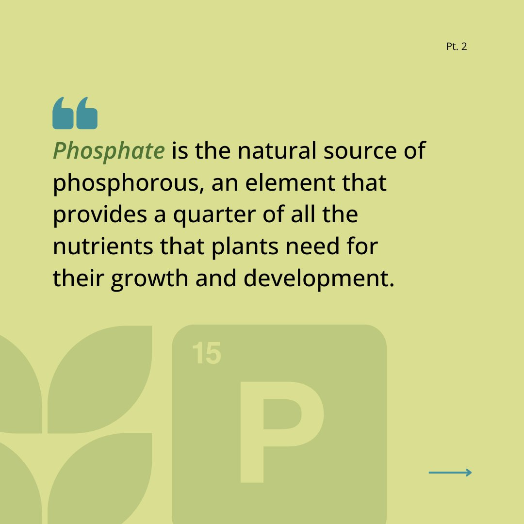 Mosaic in Florida tweet media