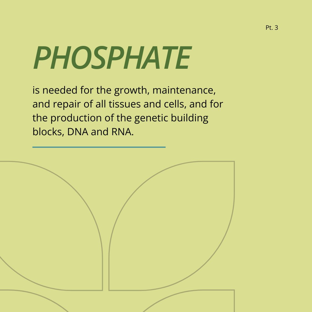 Mosaic in Florida tweet media