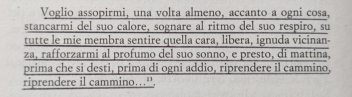 Tommaso Negri tweet media