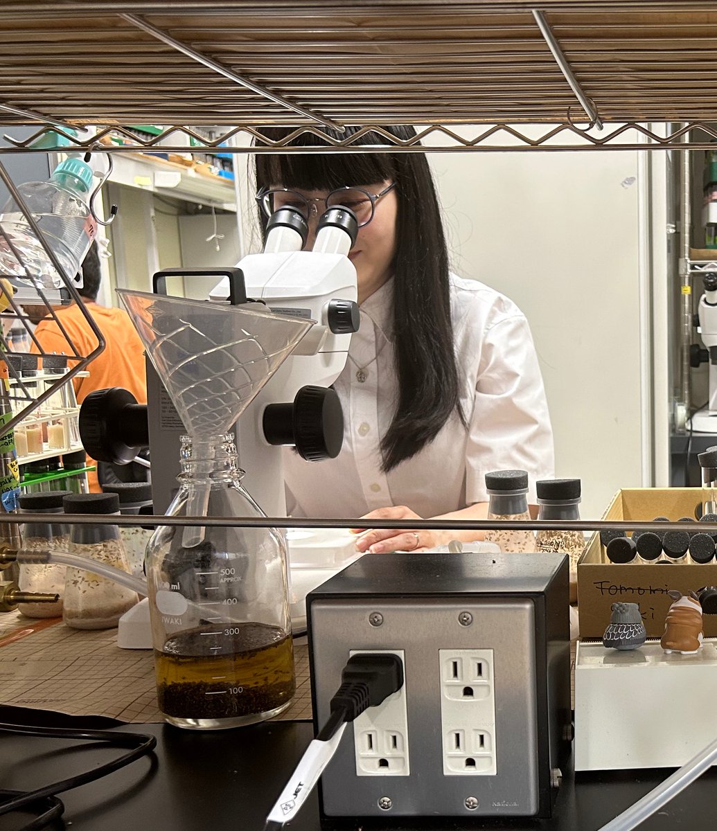 Yoo_Lab_RIKEN's tweet photo. What is a mechanism of intestinal stem cell exhaustion during aging? Saki Naito, a PhD student, addressed this question focusing on changes of chromatin and transcription during aging. 
https://t.co/q3KrWMlxJC https://t.co/GgLqmdzHDi