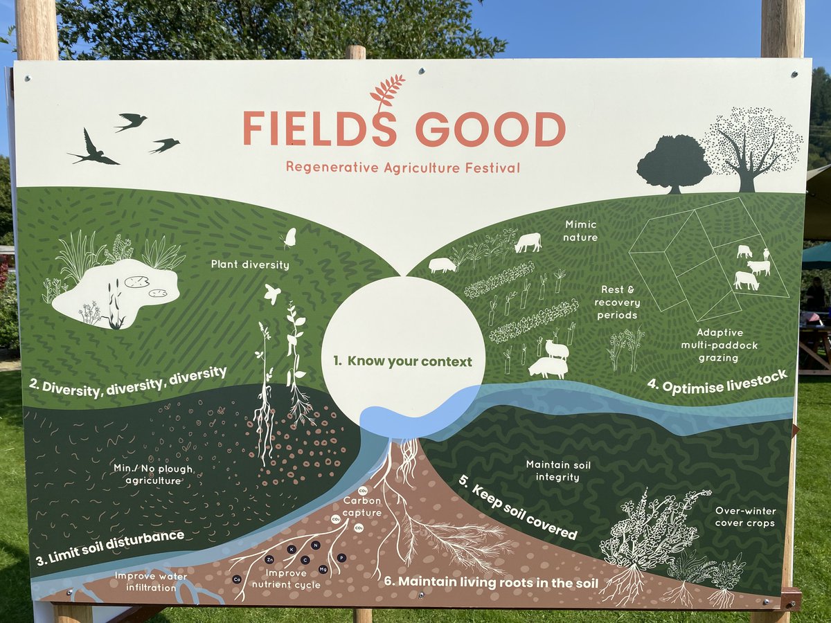 All-Ireland Pollinator Plan tweet media