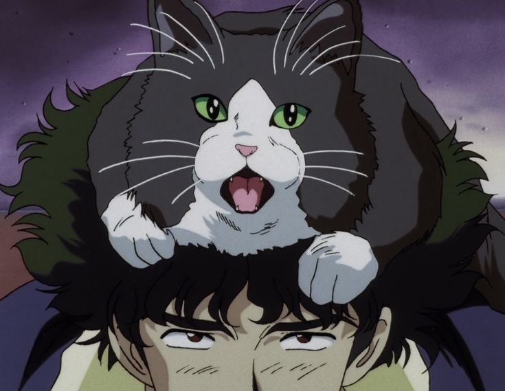 cowboy_bebop___'s tweet photo. Cowboy Bebop https://t.co/4t6Ggxz41d
