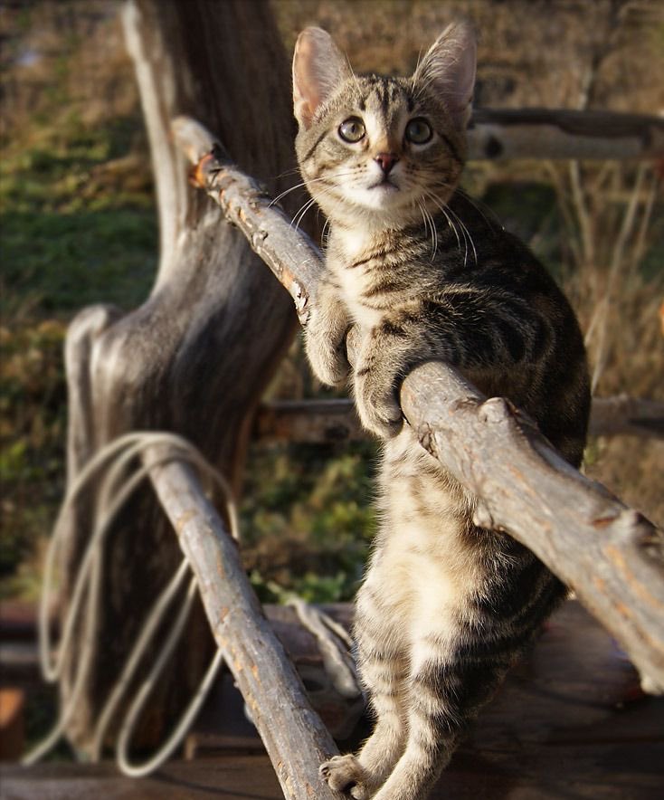 ChrisWinig's tweet image. His life is worth more than 20,000 Haitians