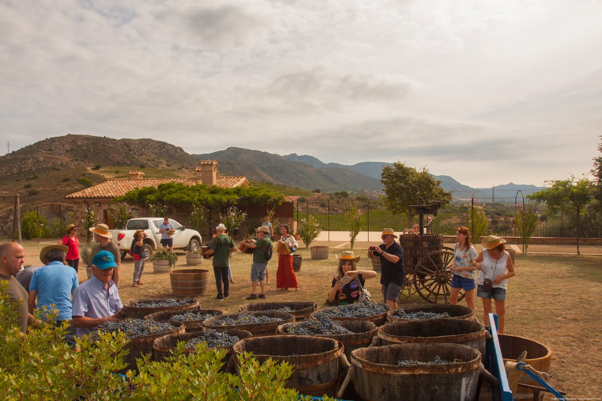 Costa Brava Pirineu (@costabrava) on Twitter photo 🍇✨ El 14 de setembre, vine al <a href="/CellerEspelt/">Espelt Viticultors</a> per fer la verema a l’antiga amb família! Una experiència per reviure les feines del camp tal com ho feien els nostres avis, des de la collita fins a trepitjar el raïm al ritme de La Diatònica.👇 loom.ly/H26moXI
#inCostaBrava 🍇✨ El 14 de setembre, vine al <a href="/CellerEspelt/">Espelt Viticultors</a> per fer la verema a l’antiga amb família! Una experiència per reviure les feines del camp tal com ho feien els nostres avis, des de la collita fins a trepitjar el raïm al ritme de La Diatònica.👇 loom.ly/H26moXI
#inCostaBrava