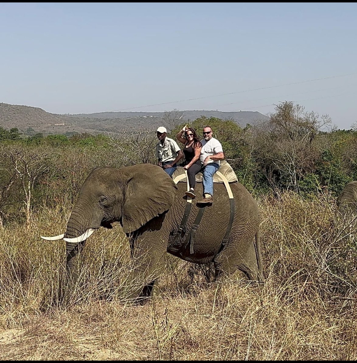 XposeTrophyHunt's tweet photo. Yuri Smith (Florida) came to SA with one thing on her mind. Exploit the widlife. She killed many animals & took an elephant ride. Get your fat ass off that elephant.
#BanTrophyHunting RT
@SARA2001NOOR @Angelux1111 @Gail7175 @DidiFrench @Lin11W @PeterEgan6 https://t.co/B5YlWJw4lJ