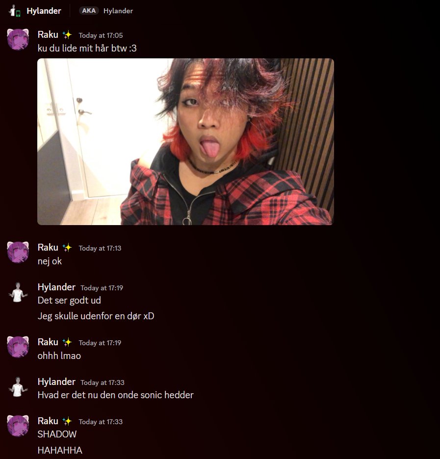 Raku tweet media
