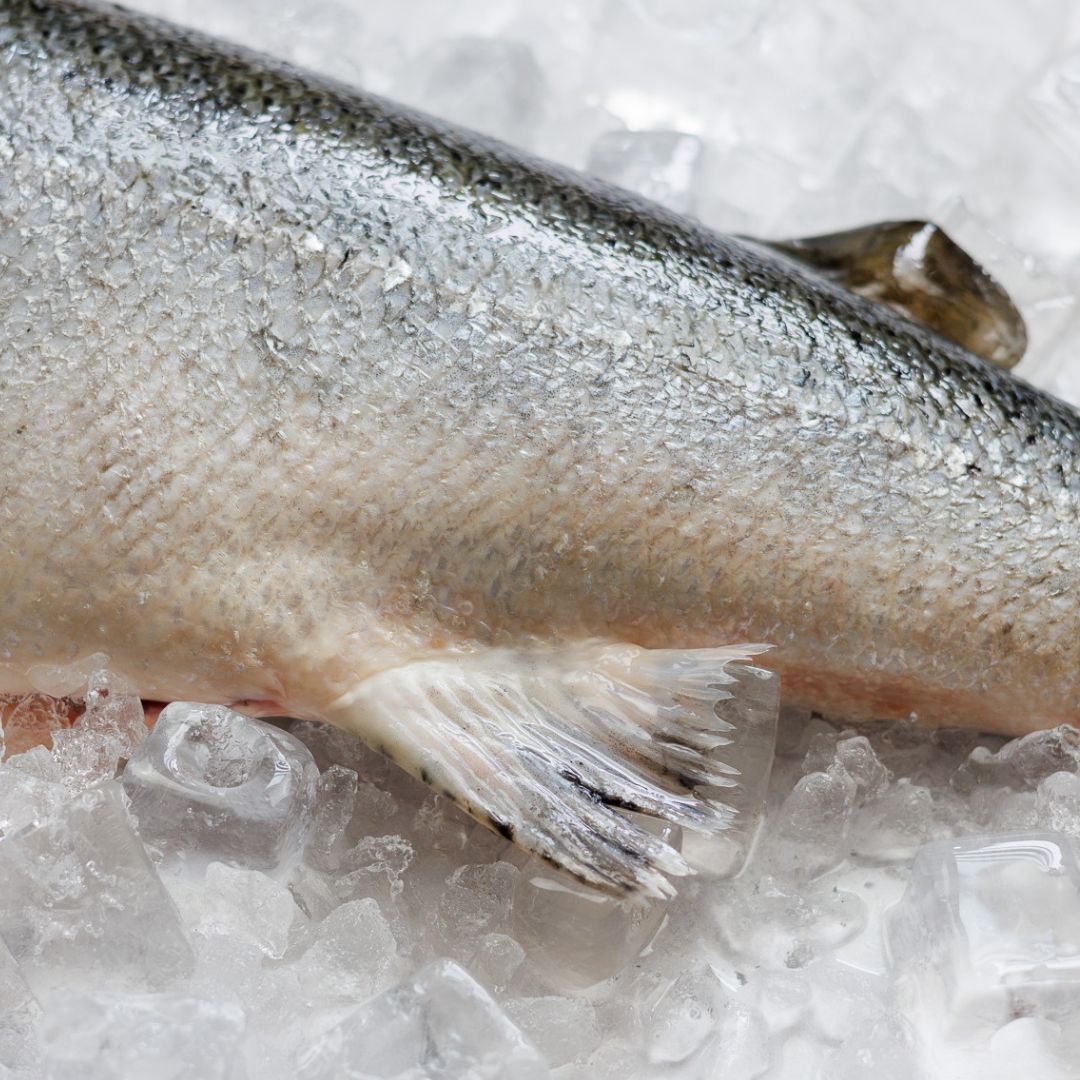 JUST LANDED 🎣 

Shop &gt; bit.ly/4d0WT3s

Serving up to 16 guests this 3.5KG pre-prepared whole salmon is expertly gutted with the head &amp; tail removed. Save a trip to the fishmongers and order online from Wright Brothers At Home with next-day delivery from Tues - Sat.