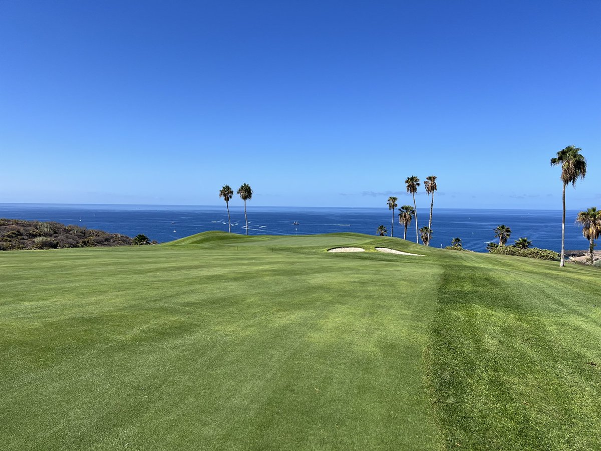 Robbie McLean tweet media