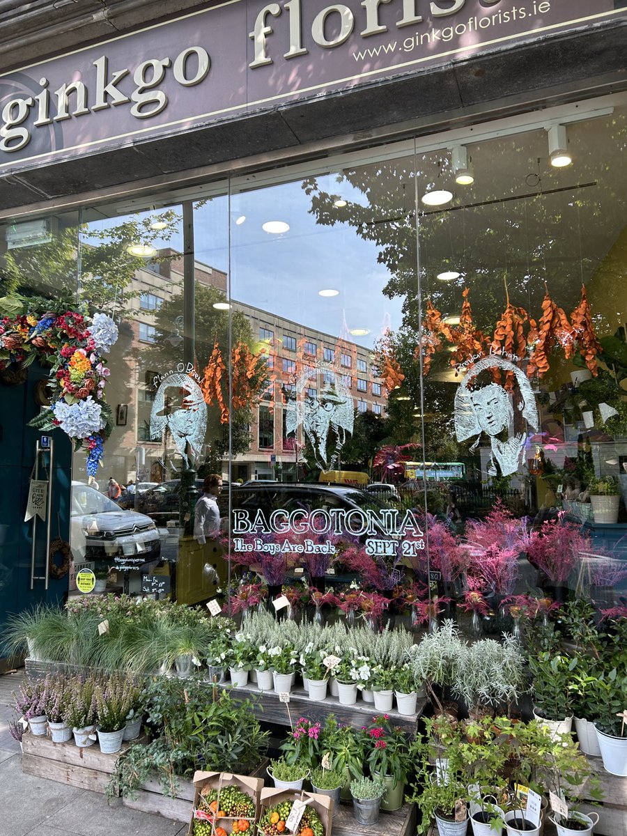 Ivana Bacik tweet media