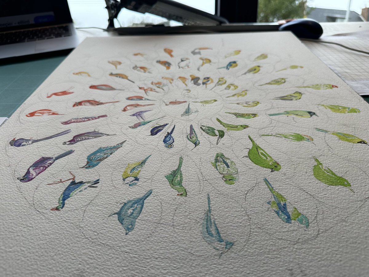 JRFArmstrong's tweet photo. Latest project well underway….#colourfulbirds…#watercolour #art https://t.co/E0933G9h0d