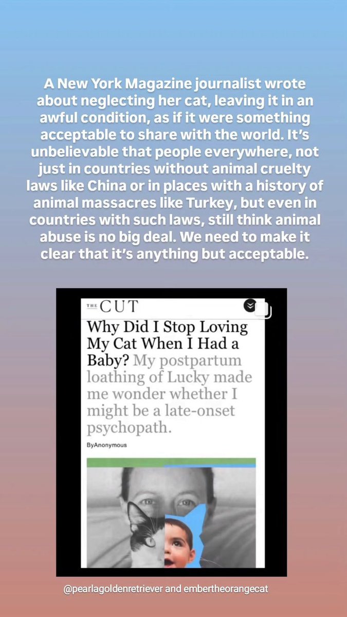 MozzeriansATW's tweet photo. Demand that 'The Cut' @TheCut Provides a Real Update on Lucky the Cat's Situation - @NYMag - Please Sign the Petition! https://t.co/OBLw5iCQmO via @Change #thecutmagazine #newyorkmagazine #postpartum #animalabuse #AnimalCruelty #nyc #notoleranceforanimalabuse https://t.co/E6TrxAoMnS