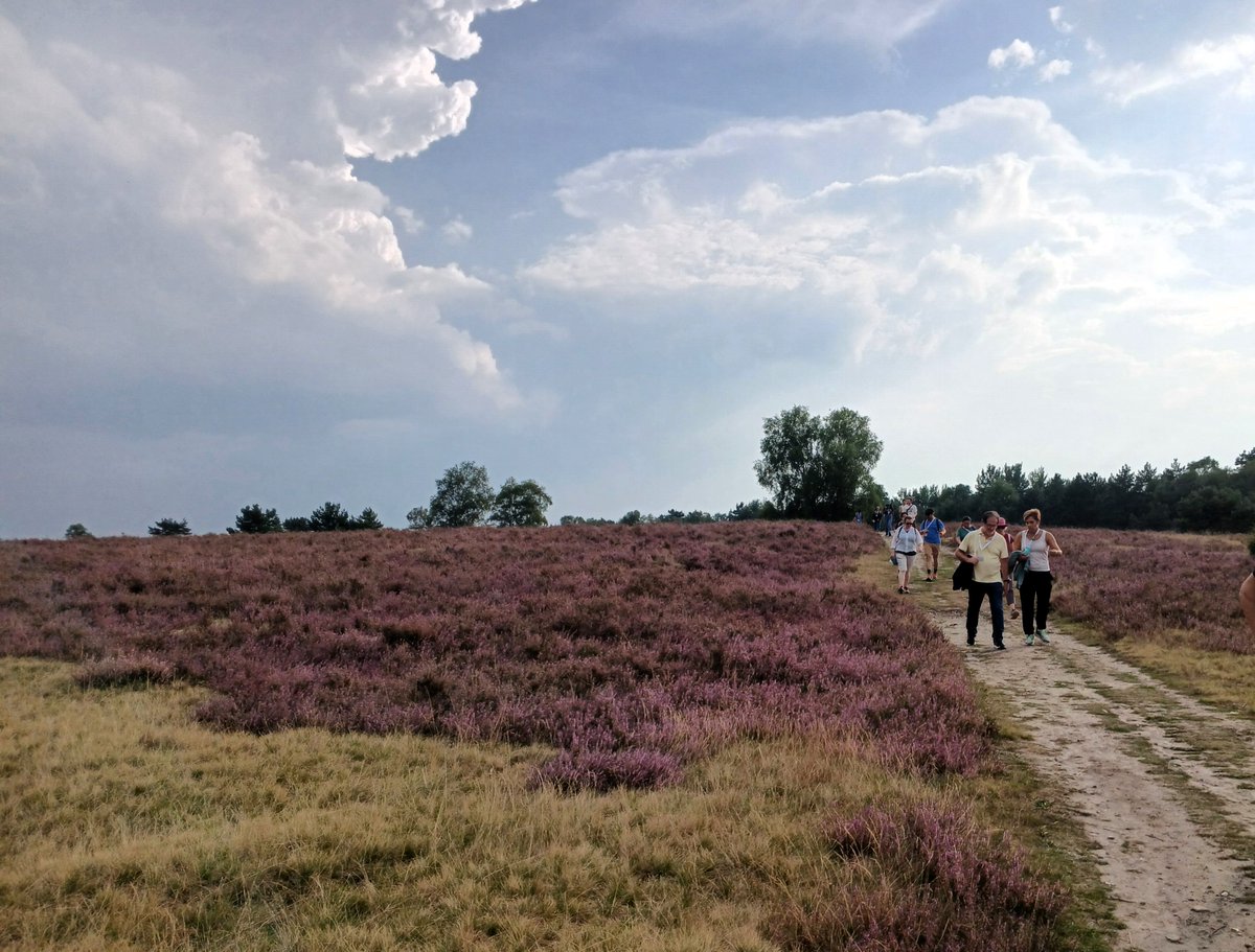 stefruzsi's tweet image. Grateful to have been part of #MMV12 and spend an inspiring week in the beautiful #LüneburgerHeide🌿, where I presented our @ForRest_bigdata findings on #digital #skills & habits across #generations as part of the @ILEN_BOKU team. A huge thank you to the amazing organizers! 🙌