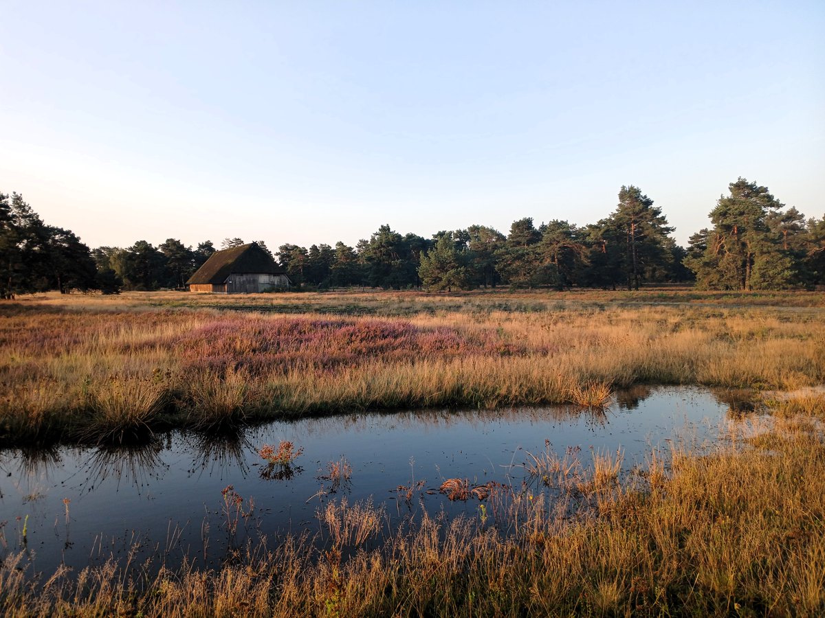 stefruzsi's tweet image. Grateful to have been part of #MMV12 and spend an inspiring week in the beautiful #LüneburgerHeide🌿, where I presented our @ForRest_bigdata findings on #digital #skills & habits across #generations as part of the @ILEN_BOKU team. A huge thank you to the amazing organizers! 🙌