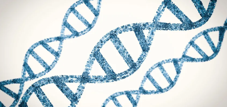 Big Data Institute (@bdi_oxford) on Twitter photo A new study has produced a new way of documenting #genetic ancestry. The approach allows scientists to store and analyse large amounts of genetic data on a standard laptop, and it generalises to any species of life on Earth.π§¬
Read more π bit.ly/4gg04XM
<a href="/GeneticsGSA/">Genetics Society of America</a> A new study has produced a new way of documenting #genetic ancestry. The approach allows scientists to store and analyse large amounts of genetic data on a standard laptop, and it generalises to any species of life on Earth.π§¬
Read more π bit.ly/4gg04XM
<a href="/GeneticsGSA/">Genetics Society of America</a>