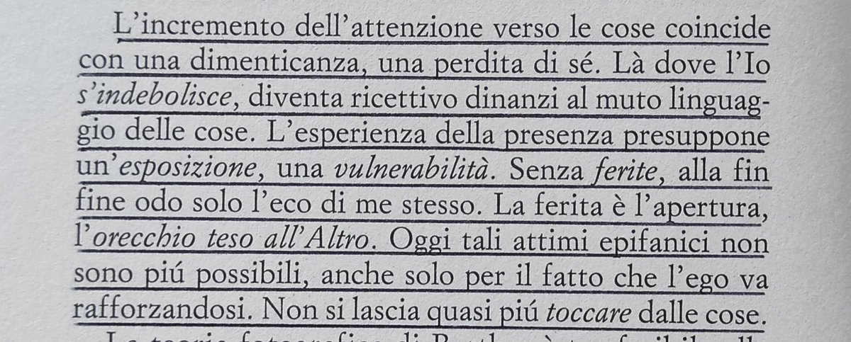 Tommaso Negri tweet media