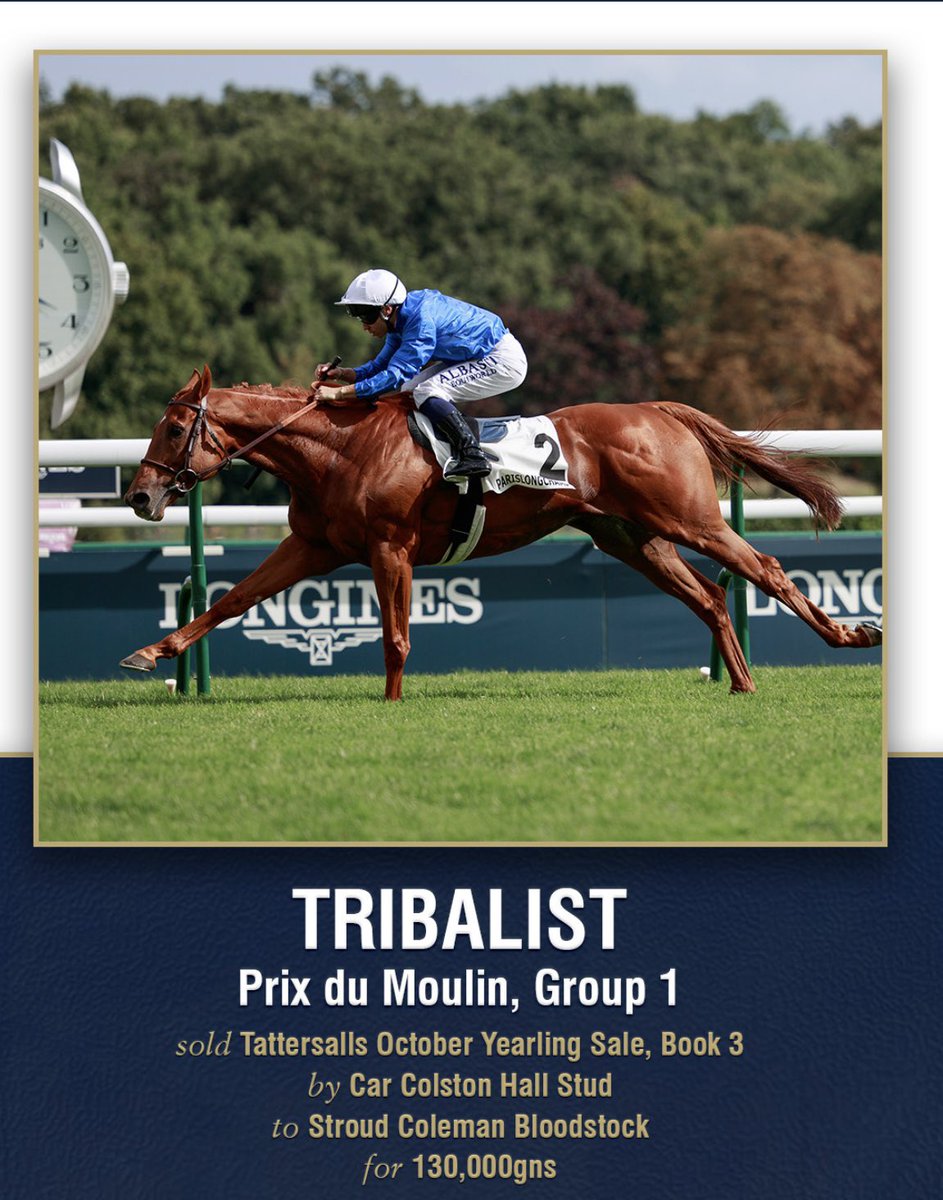 Group 1 winner TRIBALIST 👏🏻
