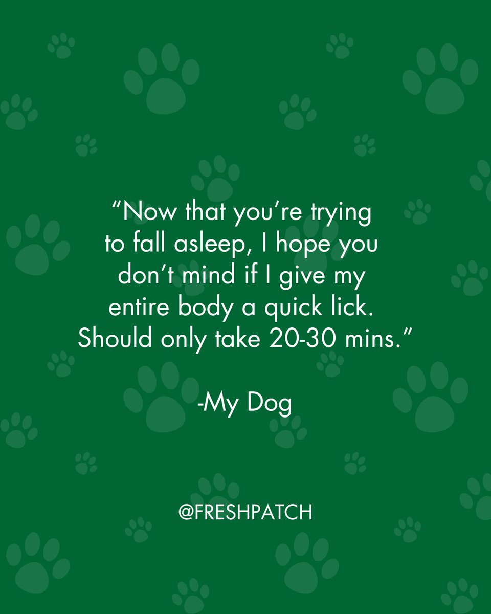 FreshPatch's tweet image. It never fails...🤣🐾💤⁠
⁠
#FreshPatch #LifeWithADog #DogParentProblems #DogLovers