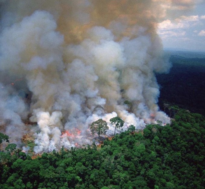 laredcincoradio's tweet photo. 🔥🌳|| El reciente incendio forestal en el valle del Utcubamba (Amazonas) ha arrasado con 700 hectáreas de bosque. El humo, con partículas dañinas, llegará esta semana a Uruguay, afectando la calidad del aire. Así luce el cielo tras esta contingencia ambiental. #IncendiosAmazonas #ContingenciaAmbiental #Amazonas #BREAKING
📹: @Tiempo_AMBA