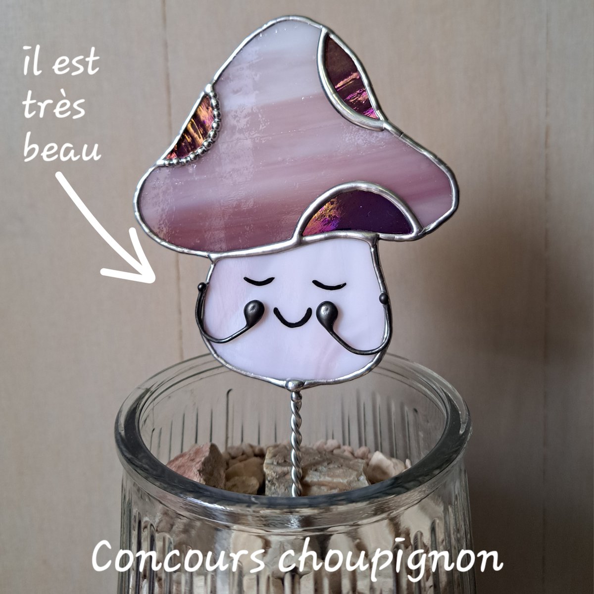 Les Bluettes de Lys tweet media